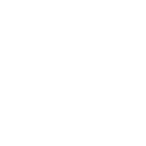 RoleplayBot Logo
